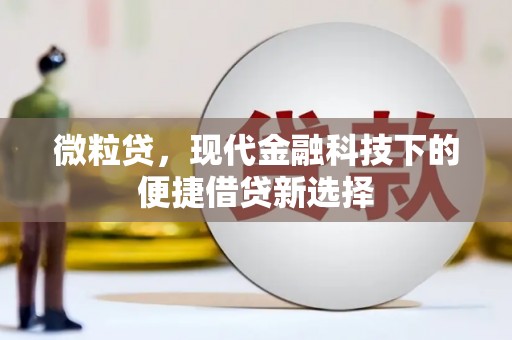 溪口微粒贷，现代金融科技下的便捷借贷新选择
