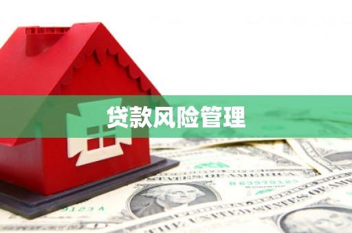 溪口贷款风险管理