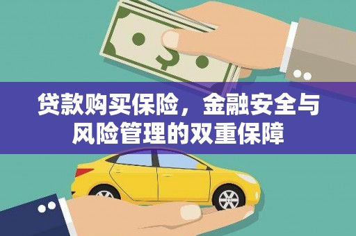 溪口贷款购买保险，金融安全与风险管理的双重保障