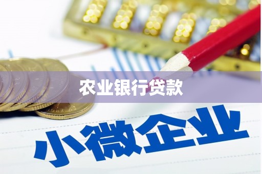 溪口农业银行贷款