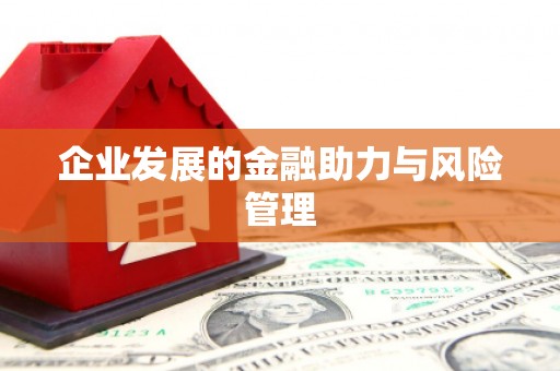溪口企业发展的金融助力与风险管理