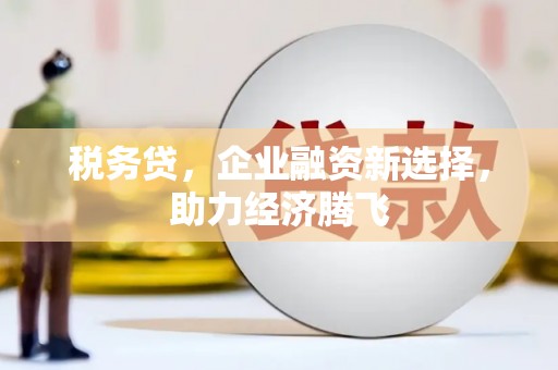 溪口税务贷，企业融资新选择，助力经济腾飞