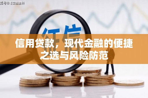 溪口信用贷款，现代金融的便捷之选与风险防范