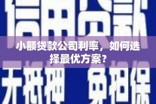 溪口小额贷款公司利率，如何选择最优方案？