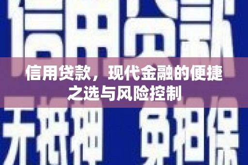 溪口信用贷款，现代金融的便捷之选与风险控制