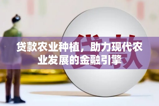 溪口贷款农业种植，助力现代农业发展的金融引擎