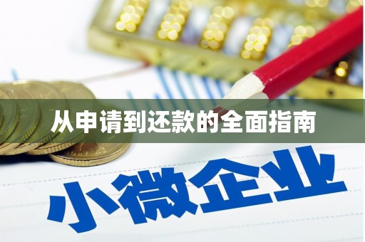 溪口从申请到还款的全面指南