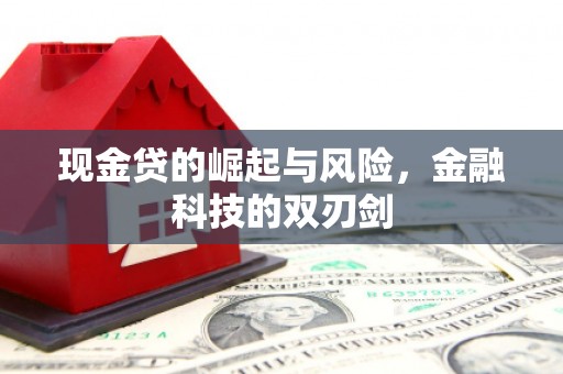 溪口现金贷的崛起与风险，金融科技的双刃剑