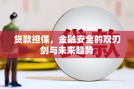 溪口贷款担保，金融安全的双刃剑与未来趋势
