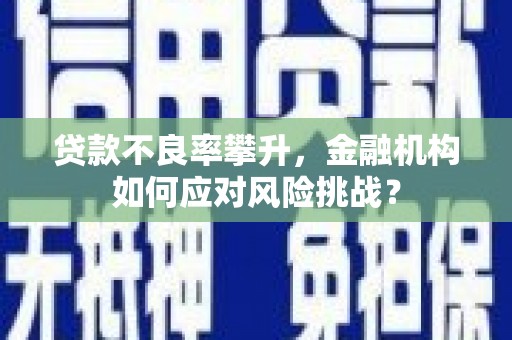 溪口贷款不良率攀升，金融机构如何应对风险挑战？
