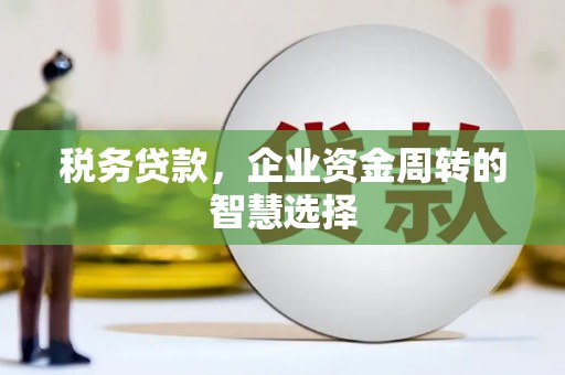 溪口税务贷款，企业资金周转的智慧选择