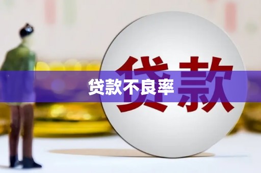 溪口贷款不良率