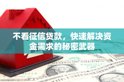 溪口不看征信贷款，快速解决资金需求的秘密武器