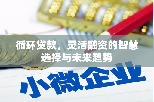 溪口循环贷款，灵活融资的智慧选择与未来趋势