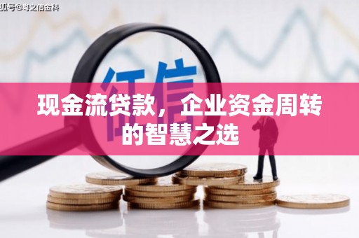溪口现金流贷款，企业资金周转的智慧之选