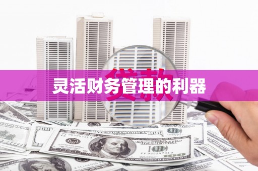 溪口灵活财务管理的利器