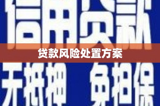 溪口贷款风险处置方案