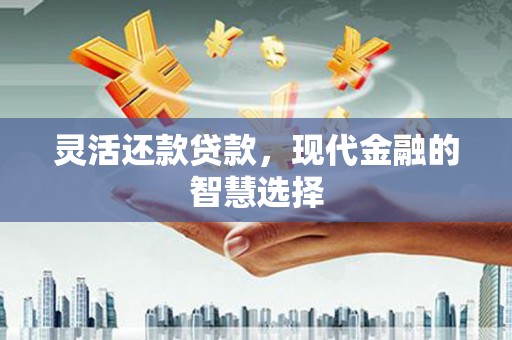 溪口灵活还款贷款，现代金融的智慧选择