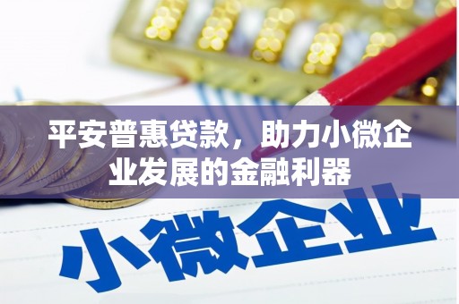 溪口平安普惠贷款，助力小微企业发展的金融利器