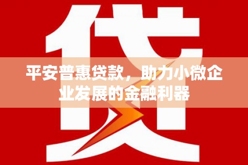 溪口平安普惠贷款，助力小微企业发展的金融利器