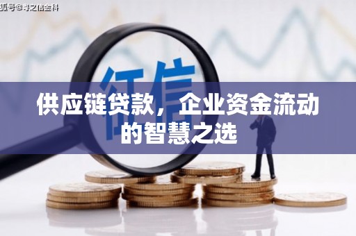 溪口供应链贷款，企业资金流动的智慧之选