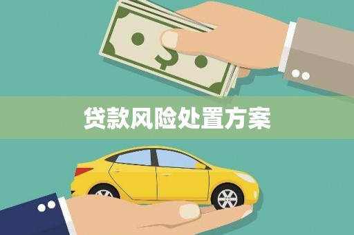 溪口贷款风险处置方案