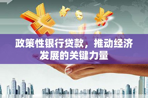溪口政策性银行贷款，推动经济发展的关键力量