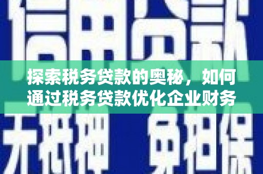 溪口探索税务贷款的奥秘，如何通过税务贷款优化企业财务