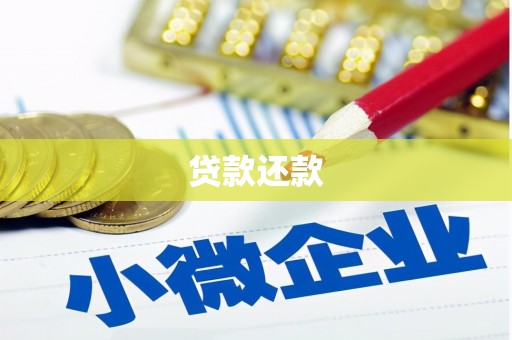 溪口贷款还款