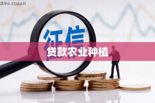 溪口贷款农业种植