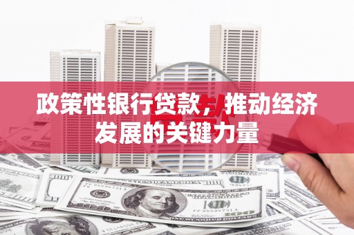 溪口政策性银行贷款，推动经济发展的关键力量