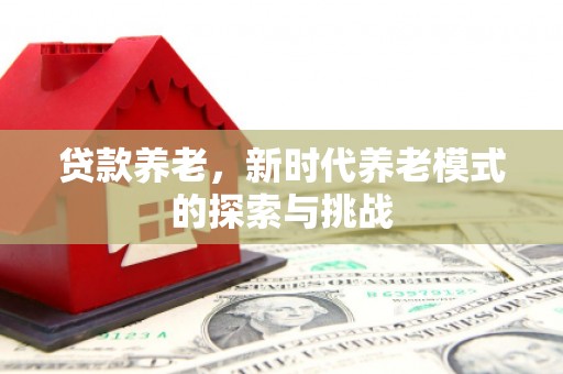 溪口贷款养老，新时代养老模式的探索与挑战