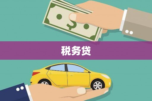 溪口税务贷
