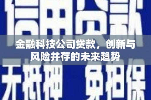 溪口金融科技公司贷款，创新与风险并存的未来趋势