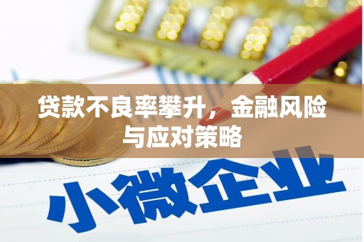 溪口贷款不良率攀升，金融风险与应对策略