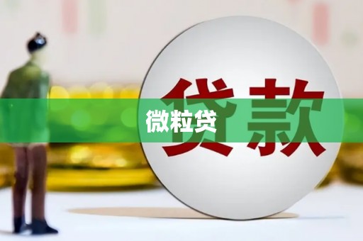 溪口微粒贷
