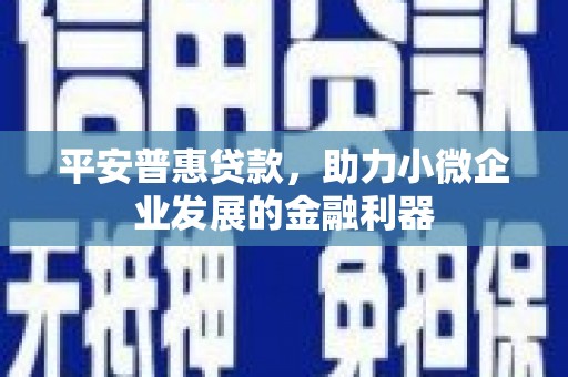 溪口平安普惠贷款，助力小微企业发展的金融利器