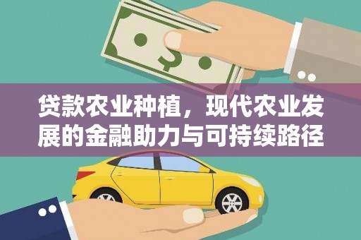 溪口贷款农业种植，现代农业发展的金融助力与可持续路径