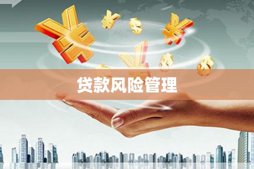 溪口贷款风险管理