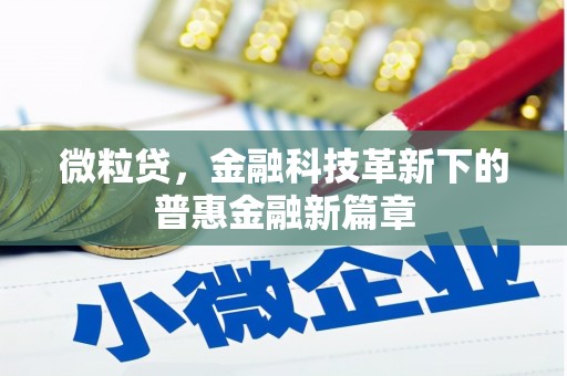 溪口微粒贷，金融科技革新下的普惠金融新篇章