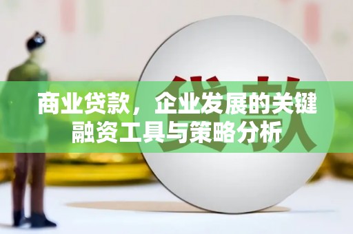 溪口商业贷款，企业发展的关键融资工具与策略分析