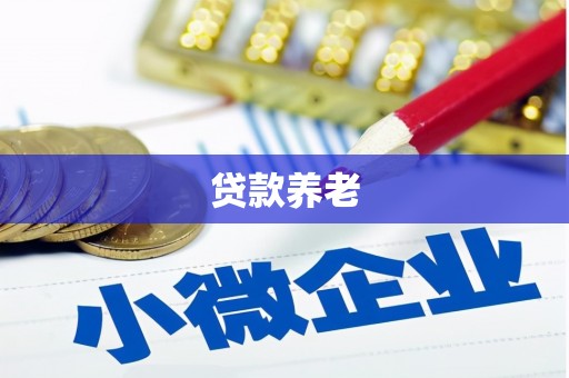 溪口贷款养老