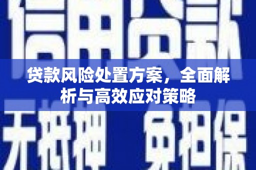 溪口贷款风险处置方案，全面解析与高效应对策略