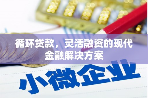 溪口循环贷款，灵活融资的现代金融解决方案