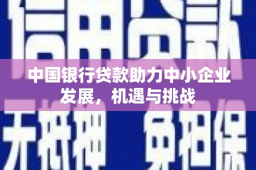 溪口中国银行贷款助力中小企业发展，机遇与挑战
