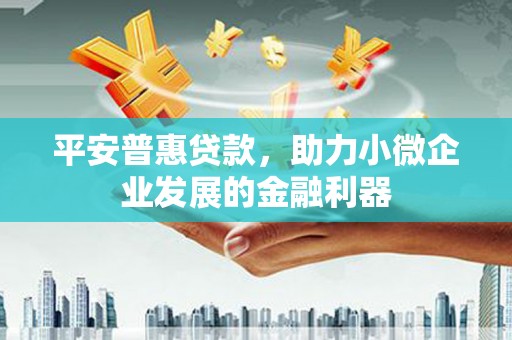 溪口平安普惠贷款，助力小微企业发展的金融利器