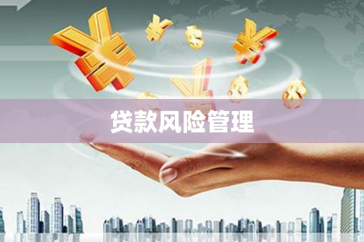 溪口贷款风险管理