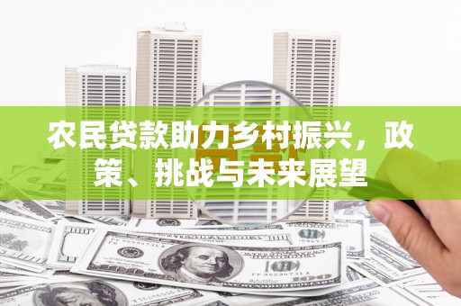 溪口农民贷款助力乡村振兴，政策、挑战与未来展望
