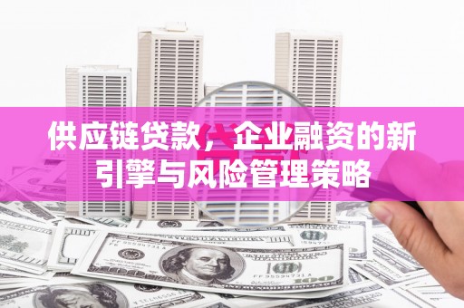 溪口供应链贷款，企业融资的新引擎与风险管理策略