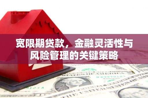 溪口宽限期贷款，金融灵活性与风险管理的关键策略